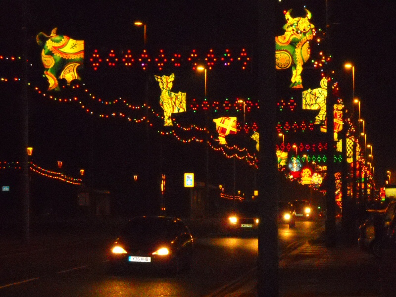 Photo - Northbound promenade view of the Concertina Critters section - Concertina Critters 2009 - Blackpool Illuminations Gallery - &copy; Sarah Myerscough
