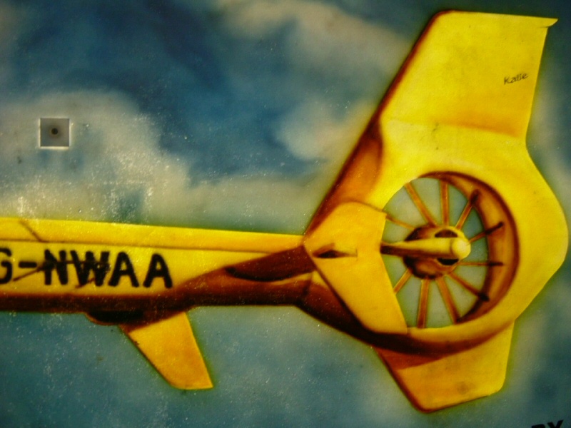 Photo - Detail of the Air Ambulance tail - Air Ambulance 2006 - Blackpool Illuminations Gallery - © Sarah Myerscough