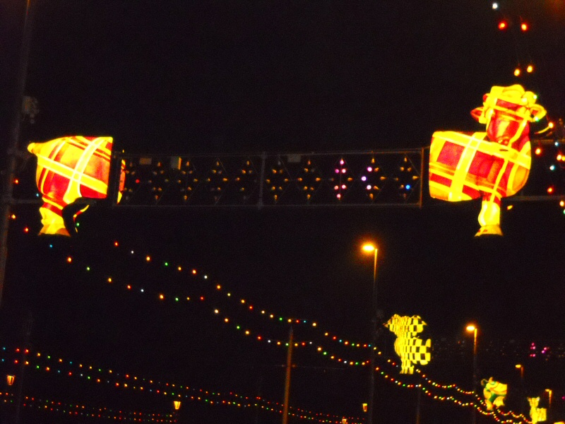 Photo - Tartan cow lit-up during the 2009 Blackpool Illuminations - Concertina Critters 2009 - Blackpool Illuminations Gallery - © Sarah Myerscough