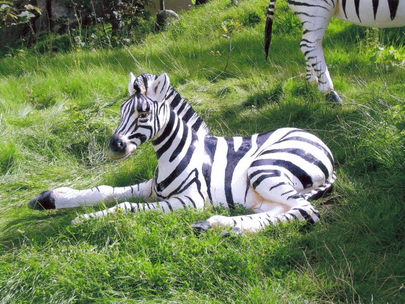 Photo - Repainted zebras along the route of the Pleasure Beach Express ride - Various Repair and Repaint Jobs - Blackpool Pleasure Beach Gallery - © Sarah Myerscough