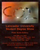 Photo - Degree Show Poster
